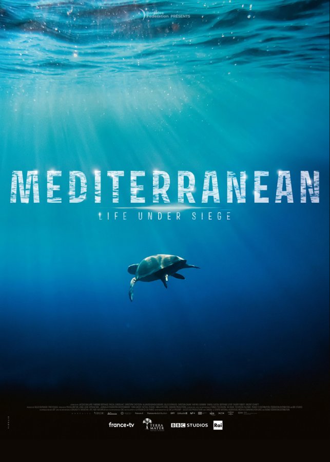 Mediterranean : Life under siege